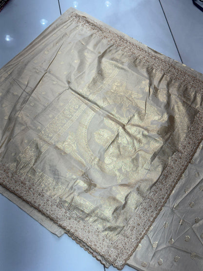 Designer Tissue Banarasi Silk Saree with Handwork Cut Border & Rich Pallu
